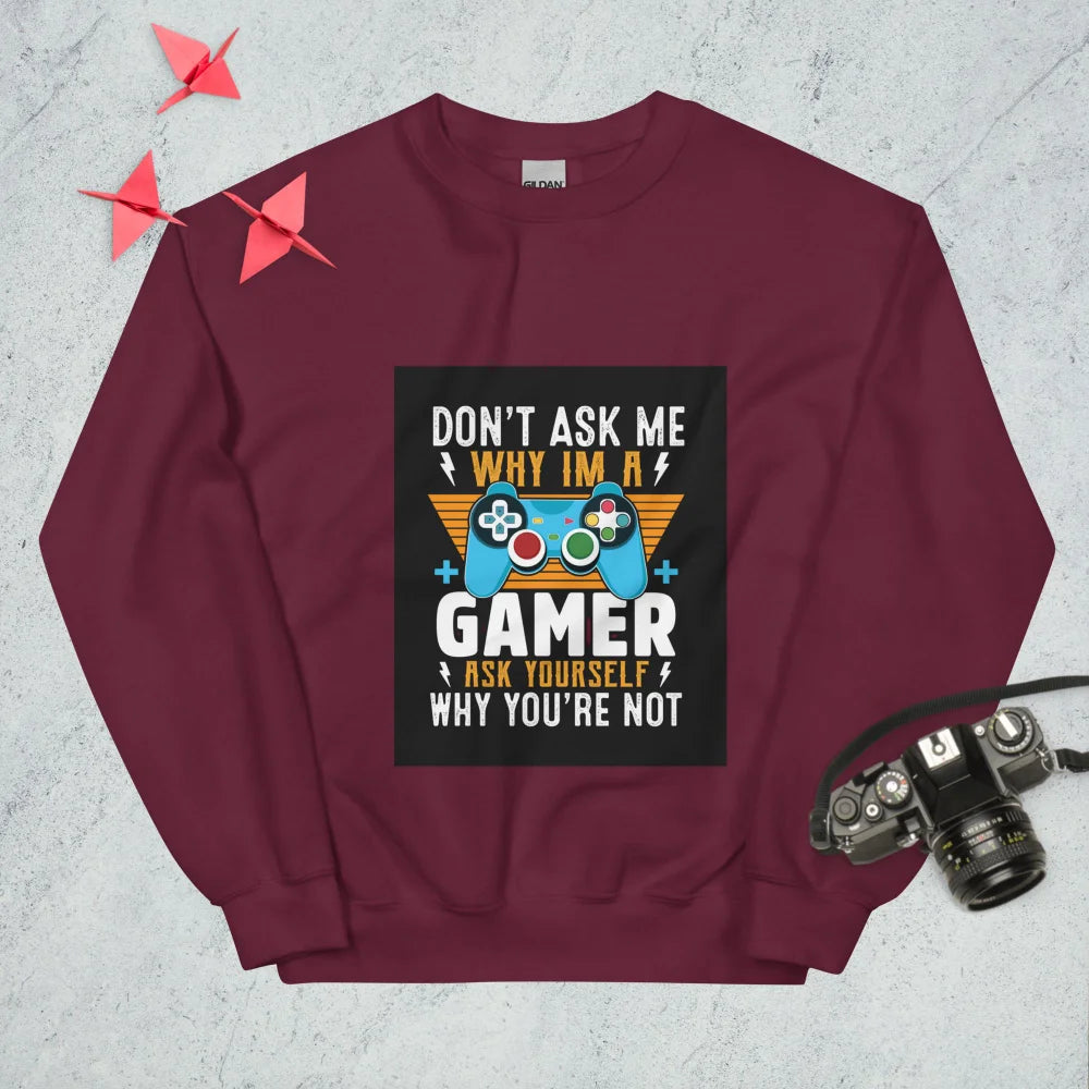 Sweatshirt "Don't Ask Me Why Im A Gamer"