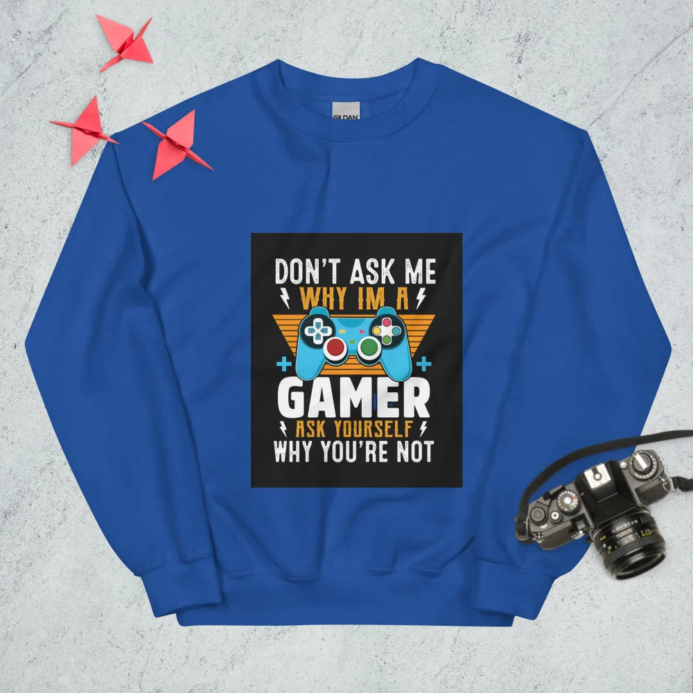Sweatshirt "Don't Ask Me Why Im A Gamer"